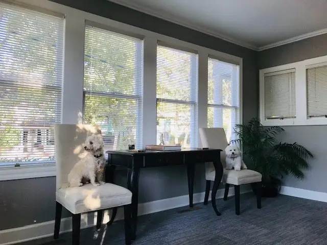 Our Auburn retreat space, photo 5